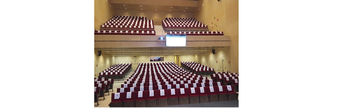 Director Servicio IT. Universidad Isabel I